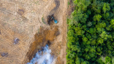 The plan will aim to protect a percentage of the Earth's land and sea